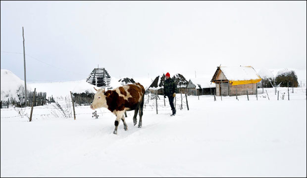 Војска на Пештер послала цистерне