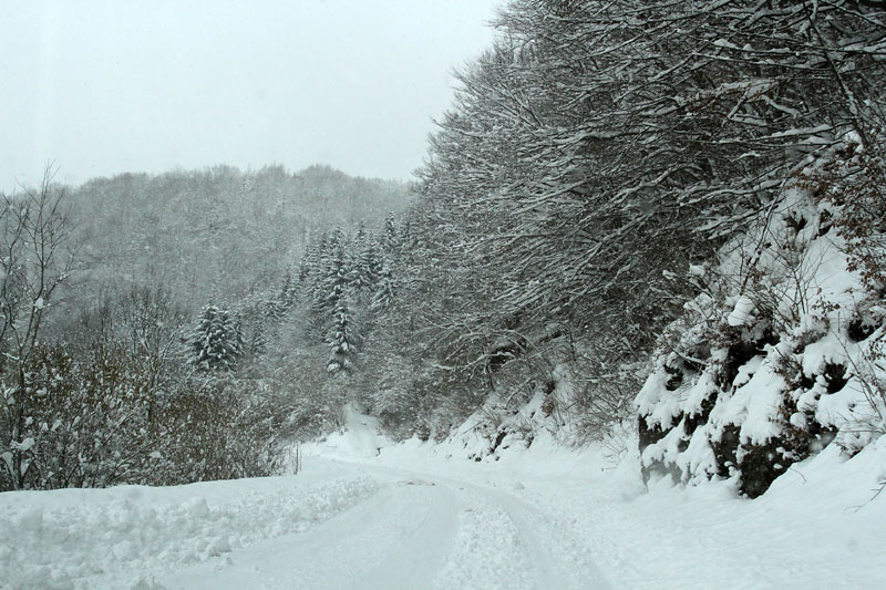 Прва жртва смрзавања у Медвеђи