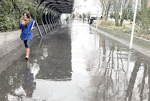 Снегови од снова али и стварности