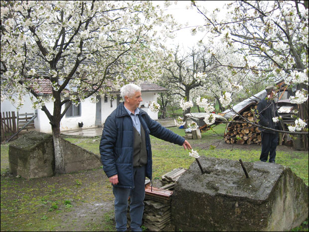 Војвођанске приче: Oкно у дворишту