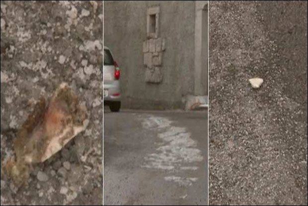 Комуналци посули улице усољеном рибом!