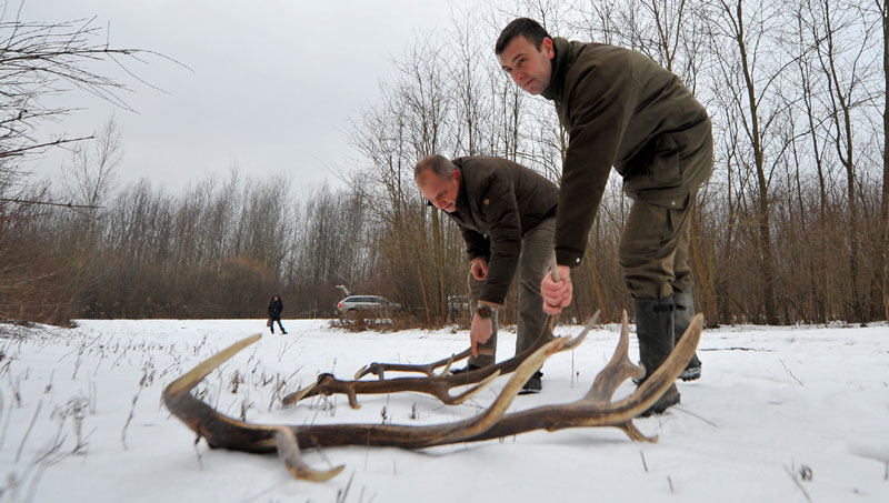 Лопови рогове продају у Кини