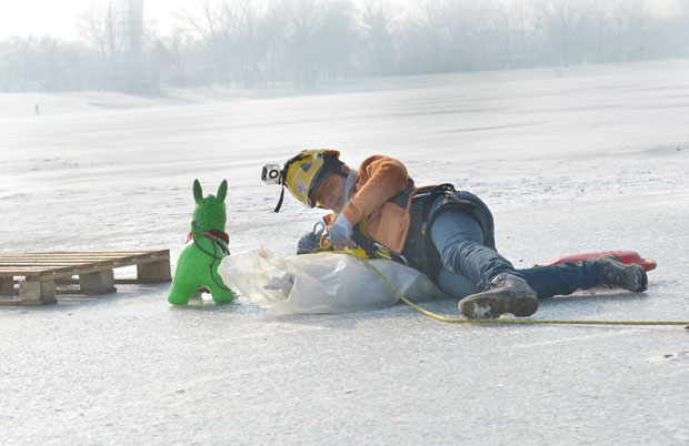 Помажу унесрећеним љубимцима