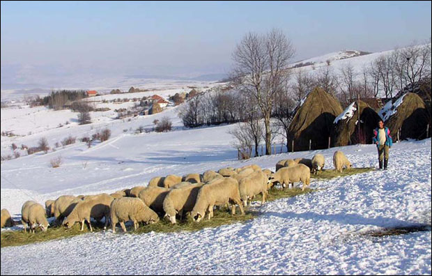 МУКЕ СТОЧАРА НА ПЕШТЕРУ: Отоплило, а воде још ни капи