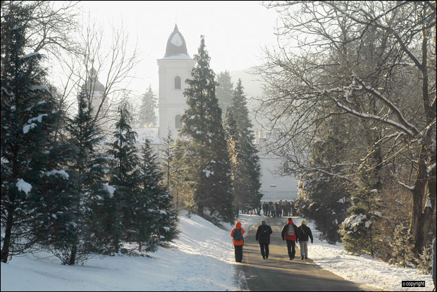 Павласов фрушкогорски снежни круг