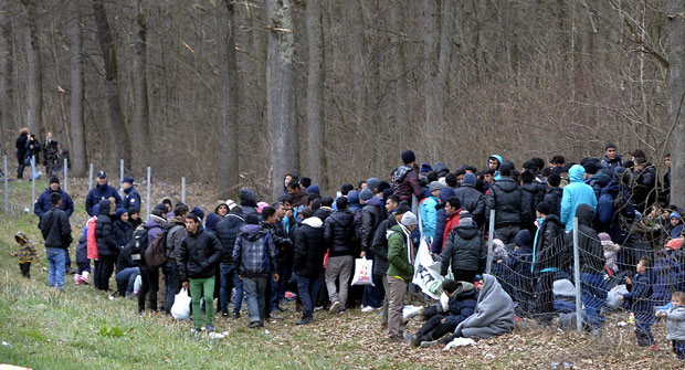 СЕВАЛИ НОЖЕВИ: Туча миграната у Шиду