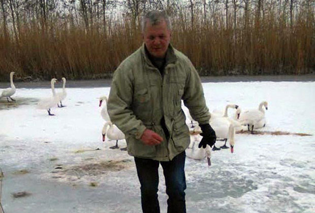 Лед заробио лабудове