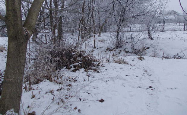 Стоваришта без дрва и угља, секу и шљивике да загреју куће