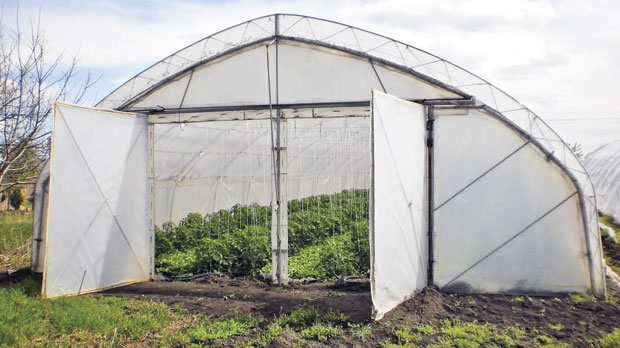 Кров на пластенику