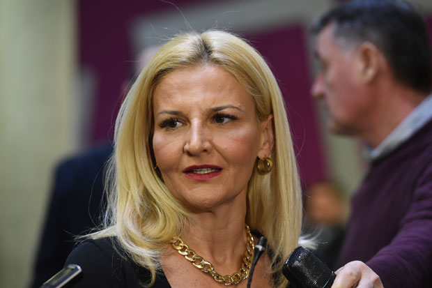 Мишчевић: Надам се да ће ускоро бити отворена три поглавља