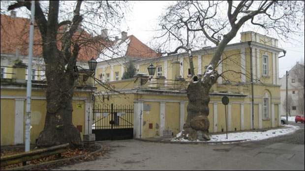 Војвођанске приче: Роберт Кох лечио рањенике