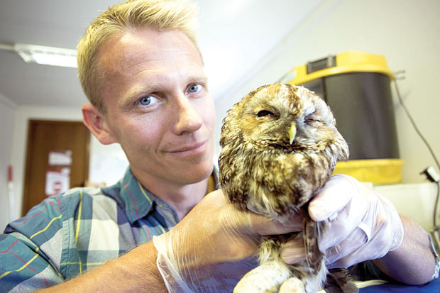 Очи у очи с тигрицама