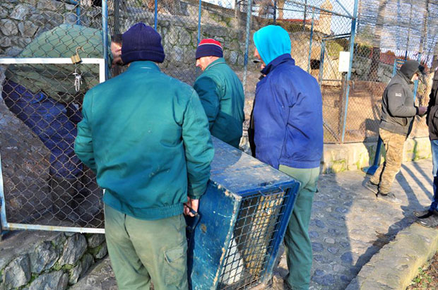 Сређују део Зоолошког врта