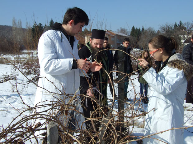 Свети Трифун међу ђацима