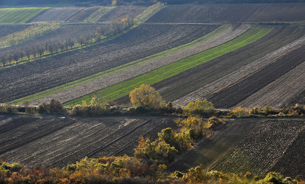 Секулић: 10.000 хектара прошле године враћено реституцијом старим власницима
