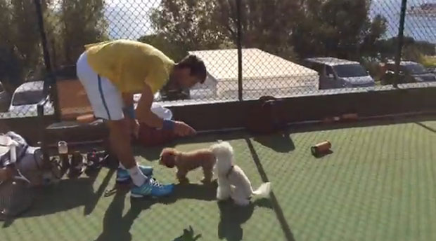 НОВАК ПОЧЕО СА ТРЕНИНЗИМА: Боћање, љубимци и Вајдин стомак...