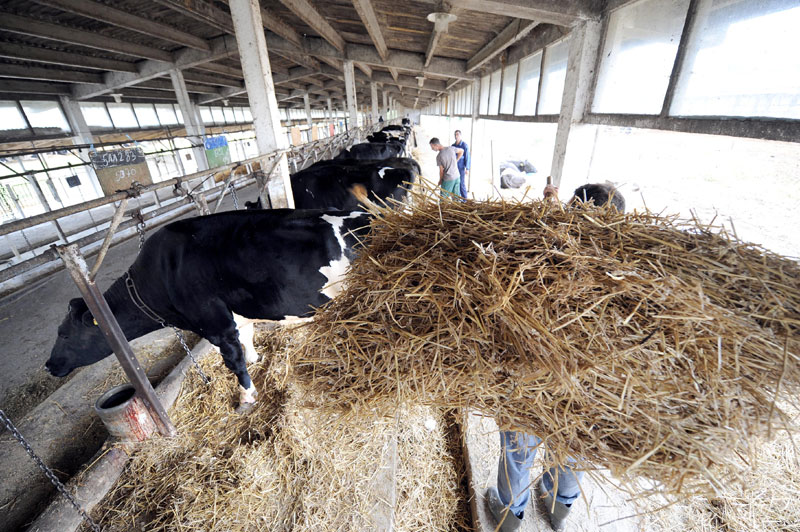 За ПКБ заинтересовано осам инвеститора