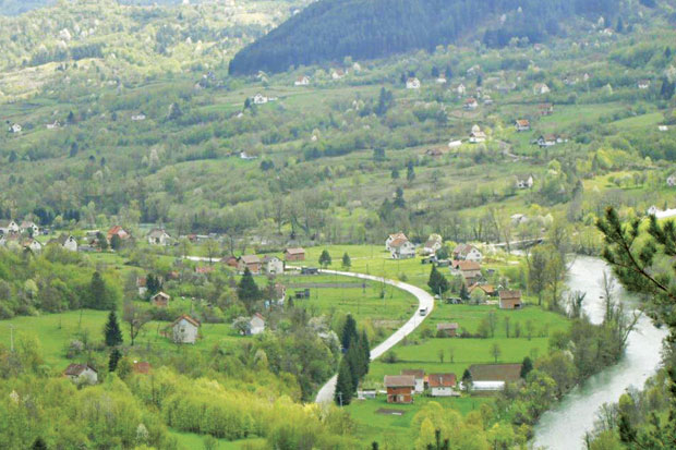 Србима опет секу шуме