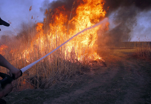 ПОЖАР У ЗРЕЊАНИНУ: Гори трска у близини центра града