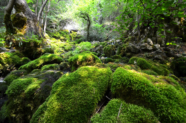Све више странаца у излетиштима око Параћина