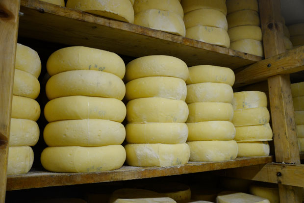 Због пеглане кобасице и качкаваља у Пироту све више туриста