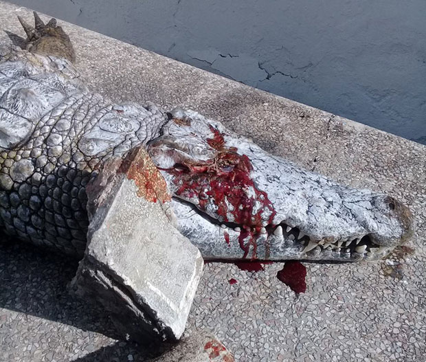 Бизаран инцидент у зоо врту у Тунису: Посетиоци каменовали крокодила (ФОТО)