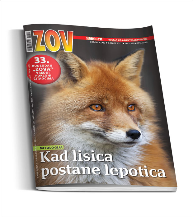 Зов прославио рођендан