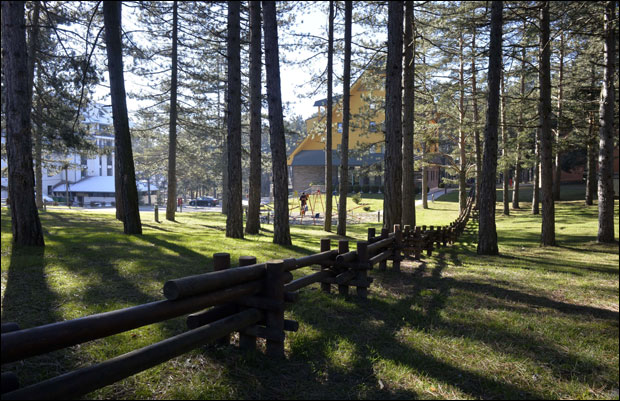 Чајетина тражи поклоњено земљиште