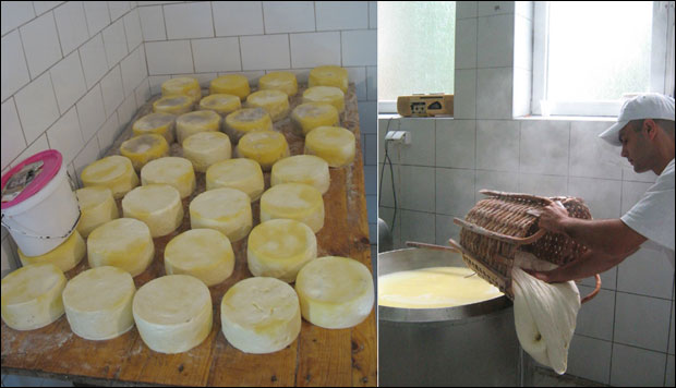 Мајстори за качкаваљ