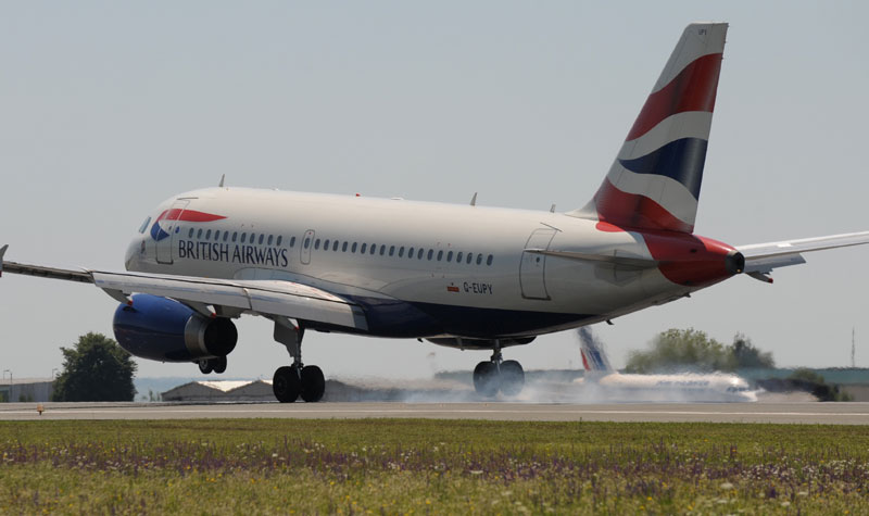 Британска авио-компанија изгубила 290.000 евра због миша