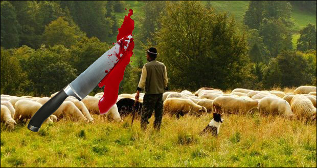 Напали га чобани, једног избо ножем