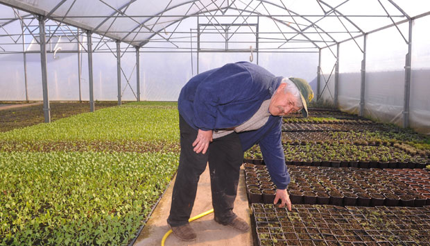 Органска храна из Србије осваја свет