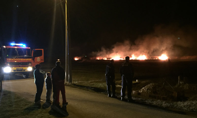ПОЖАР У ГРОЦКОЈ:  Ватрогасци гасе запаљену траву