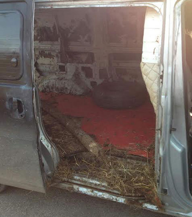 Лопови у санитету превозили стоку