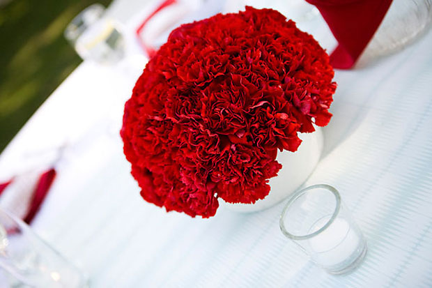 Црвени каранфил симбол 8. марта 