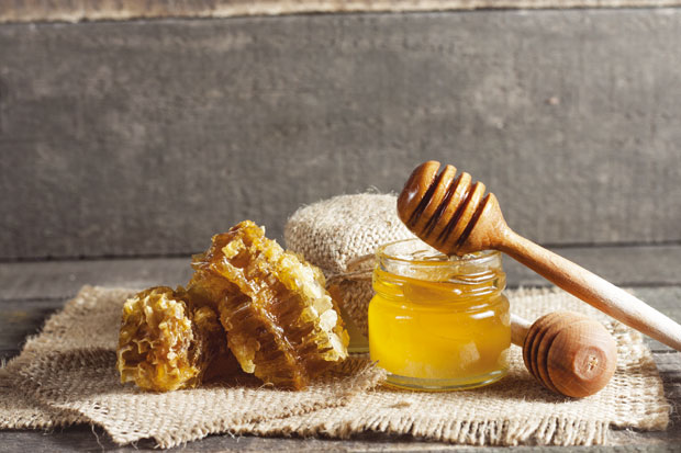 Расте извоз меда, потребно основати Институт за пчеларство