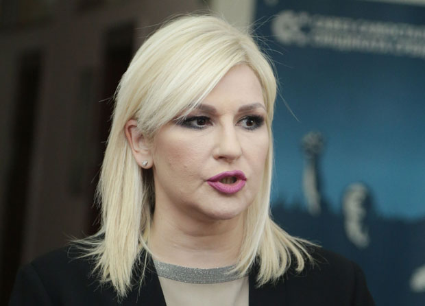 Михајловић: Брзи пријем у ЕУ најбоље решење за Балкан