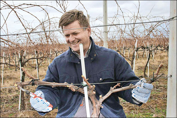 Рез пре суза