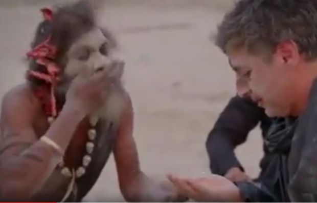 НОВИНАР ПРОБАО ЉУДСКИ МОЗАК: Укус вуче на угаљ (ВИДЕО)