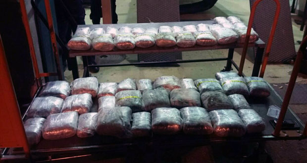 Косово: Заплењено скоро 80 кг марихуане, ухапшена петорица