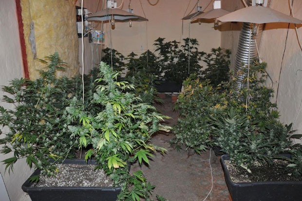 Пронађена лабораторија дроге