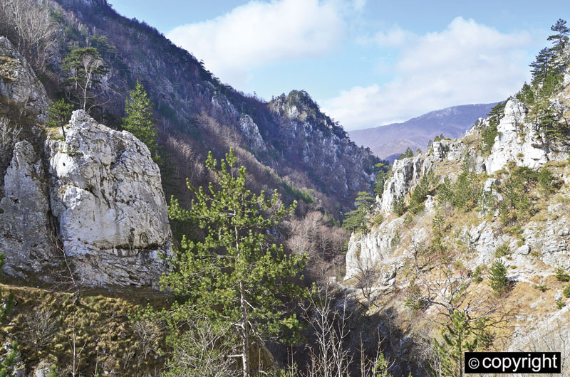 Хераклова бања под српским врхом