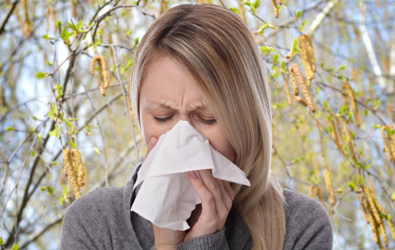 СЕЗОНА ЦВЕТАЊА ДРВЕЋА: Време је за терапију