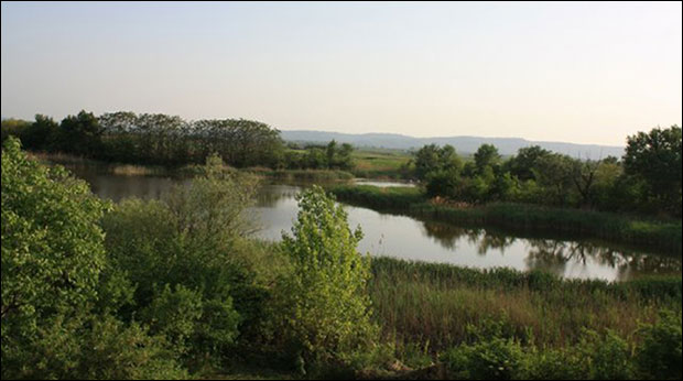 За плажу 15 милиона