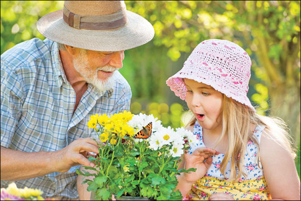 Цвећем позовите лептире, пчеле птице и бубамаре 