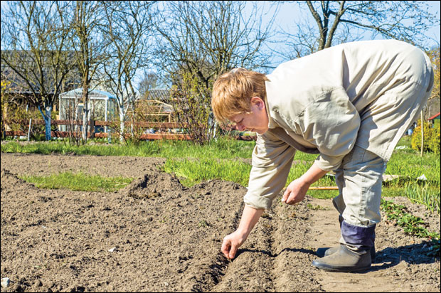 Клијање и брже ницање поврћа