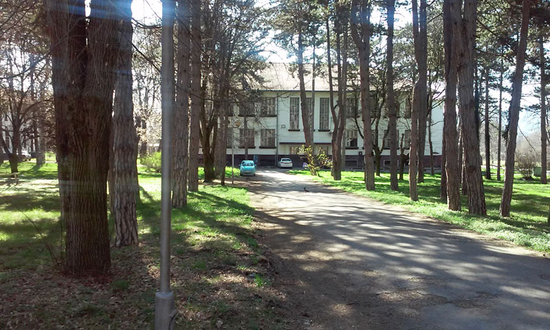 Људска лобања и вилица у дворишту психијатрије