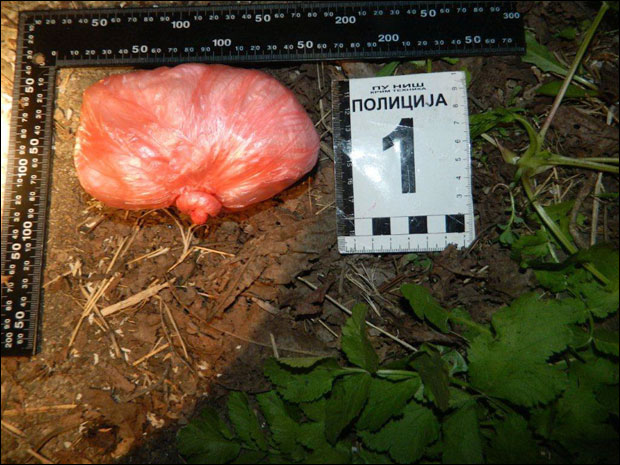 ПАЛИ ДИЛЕРИ: Нишка полиција ухапсила две особе из Београда због дроге