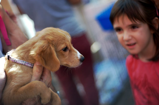 Учествујте у обележавању Националног дана штенаца
