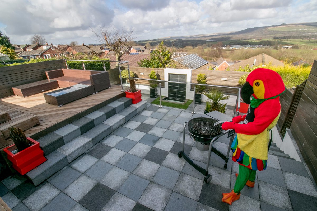 Џиновски шарени папагај продаје некретнине